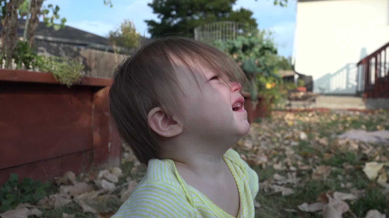 A blond baby in Westminster, Colorado looks upward while crying near scattered leaves, a red planter box, garden plants, and backyard steps.