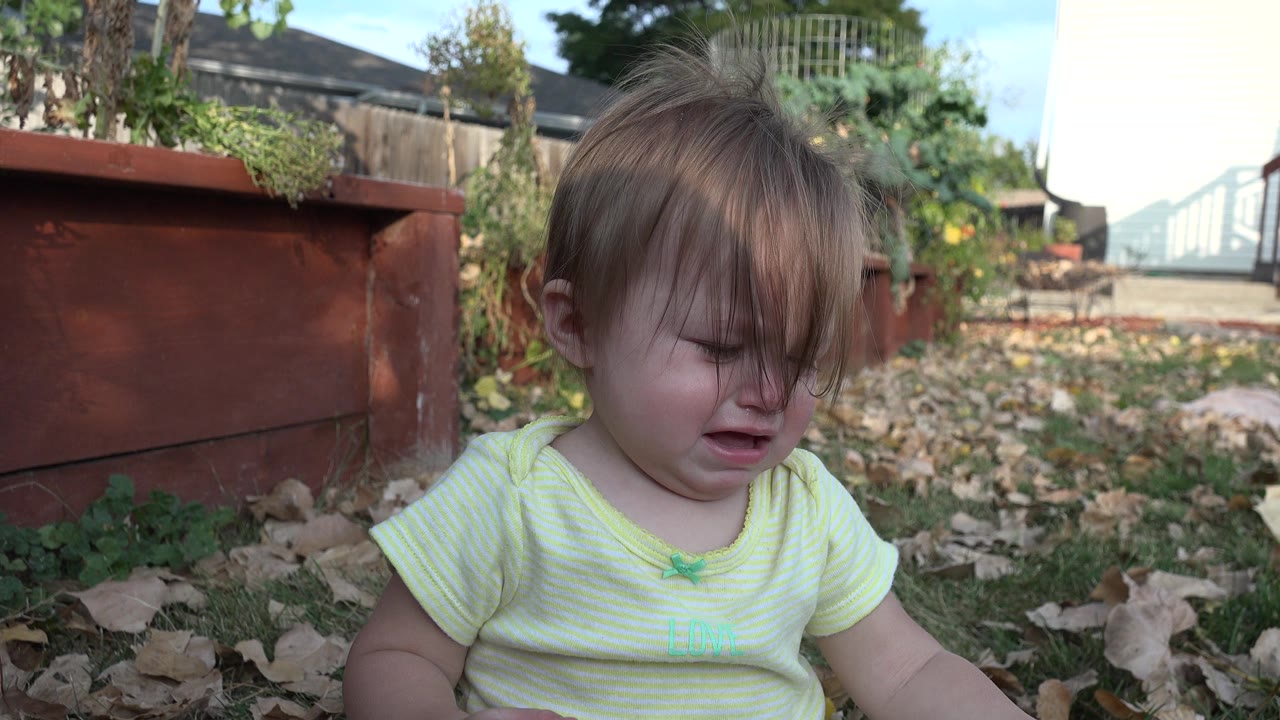 A toddler sits low in the grass in Westminster, Colorado, with hair covering part of the face and a red planter box filling the left side of the frame.