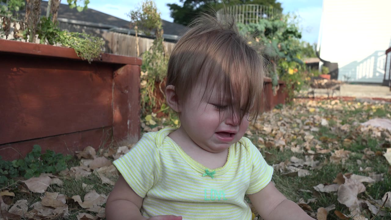 The child remains seated on the grass in Westminster, Colorado, looking downward with a distressed expression as dry leaves scatter across the foreground.