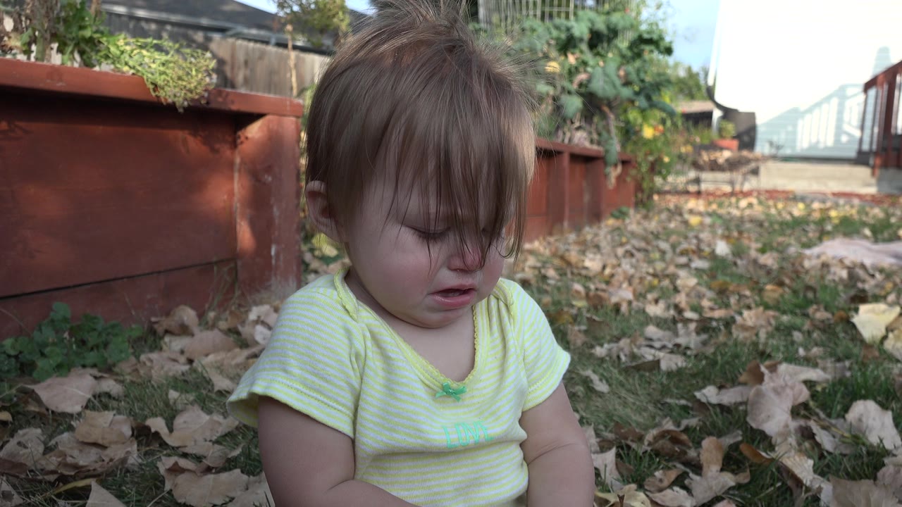 Toddler looking down on grass with red planter and fence behind.