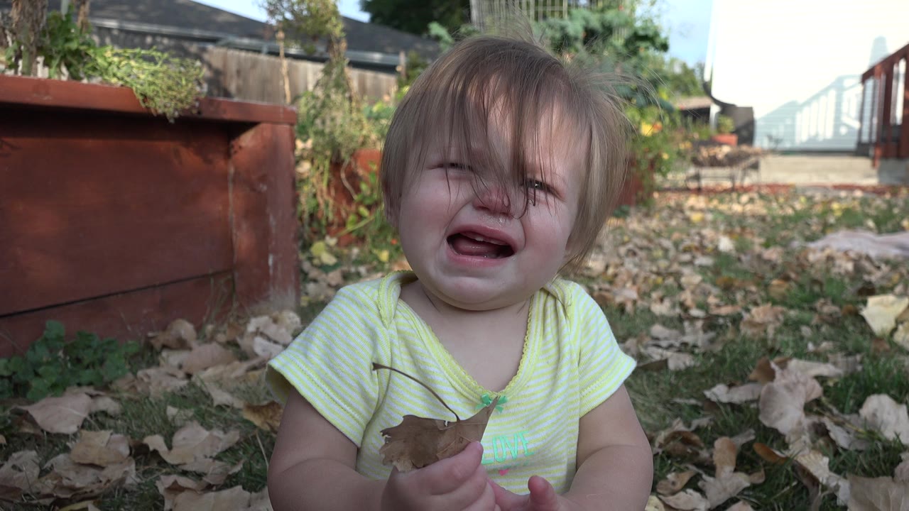 Crying baby sitting on grass with a leaf near red planters.