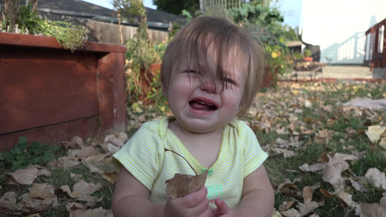 The baby remains centered and crying in Westminster, Colorado, with hair over the face, a dry leaf in hand, and red planters and yard plants in the background.