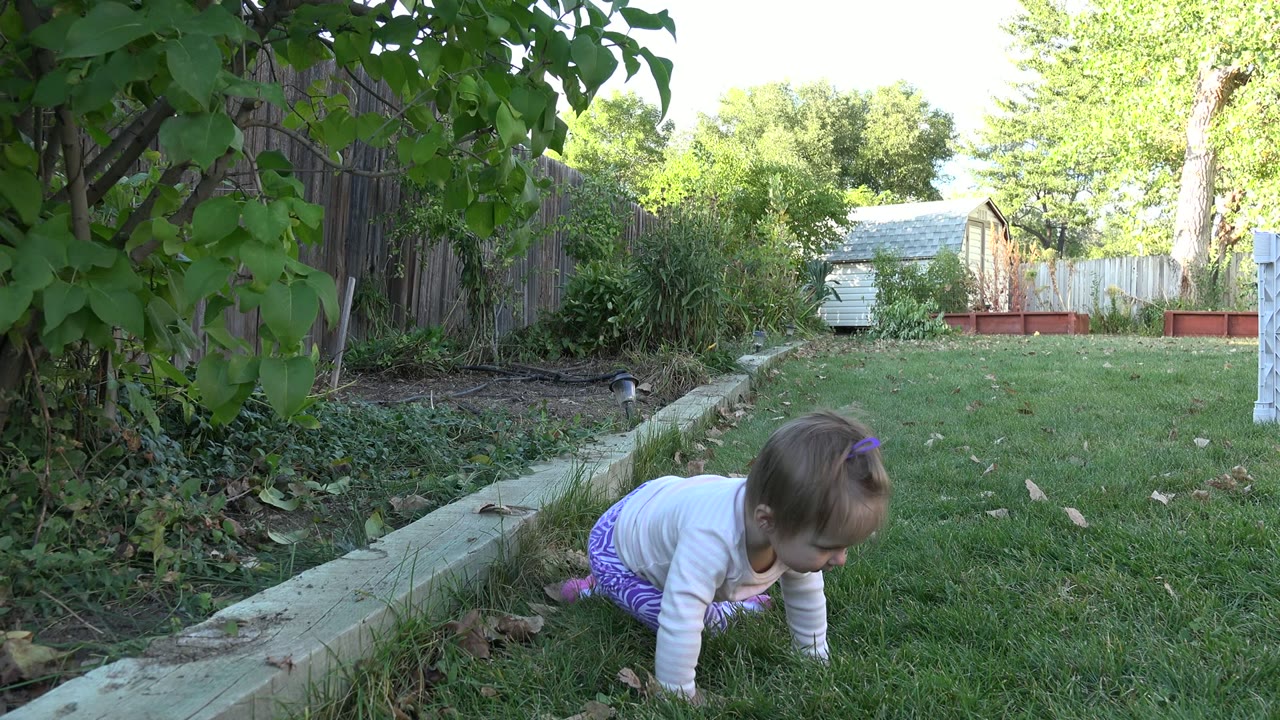 Baby crawling on grass beside a wooden garden border.
