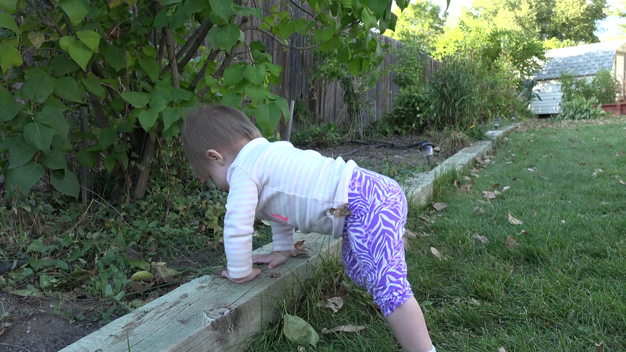 Baby in purple pants crawling beside a wood garden border.