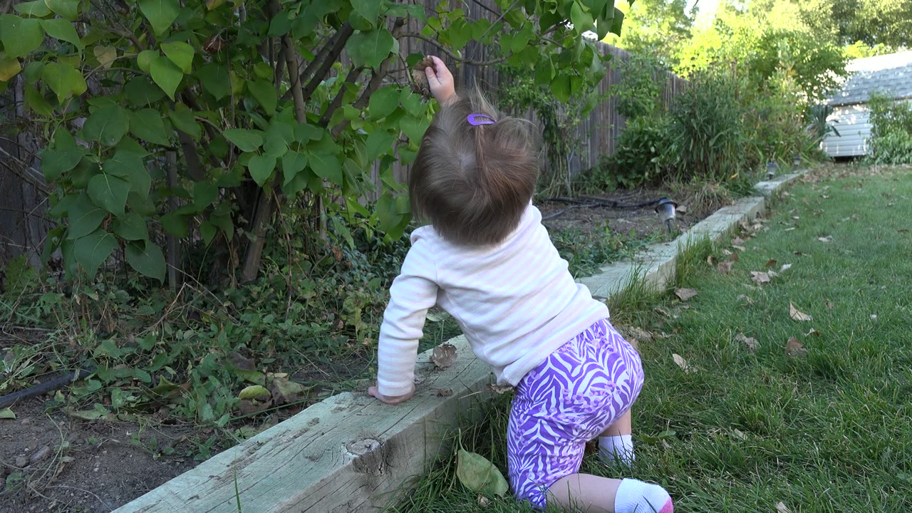 Baby kneeling by a wooden garden border under leafy shrubs.