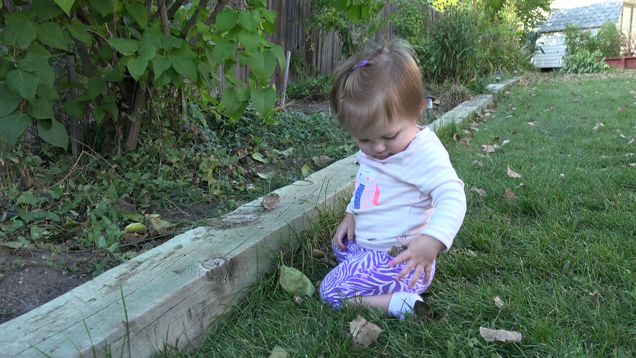 The child looks down while sitting beside the garden border, with green grass, leafy bushes, and a fence visible in the Westminster yard.