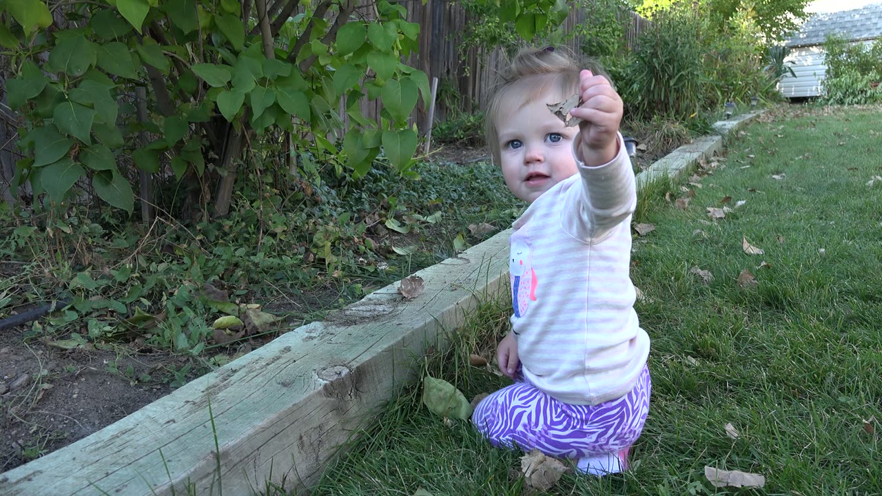 Baby holding up a leaf beside a wooden garden border.