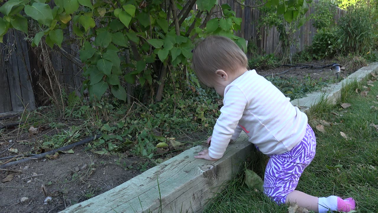 Baby at the garden border with one knee on the grass.