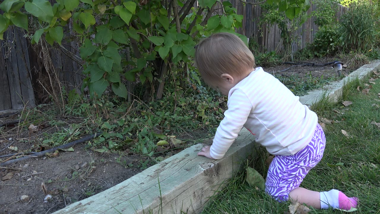 Baby leaning on a low wooden border in a leafy backyard.