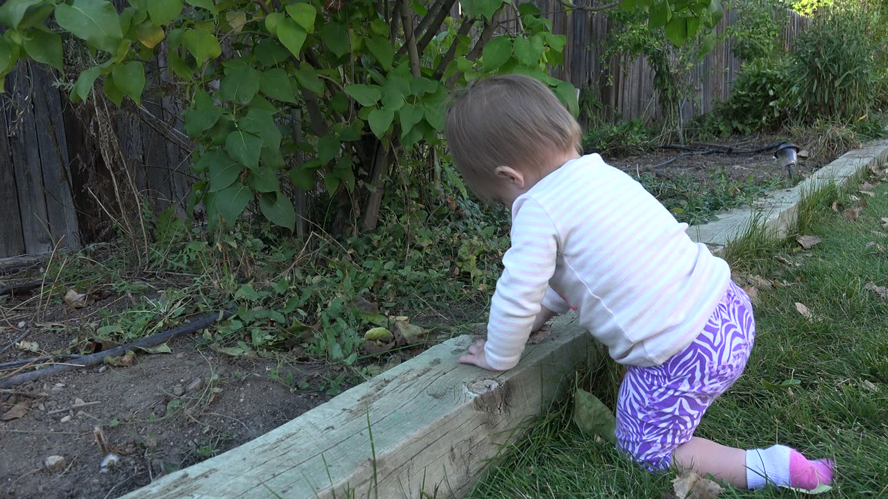 At 0:01, the baby remains bent over the timber edging with one hand on the wood and greenery filling the background in Westminster, Colorado.