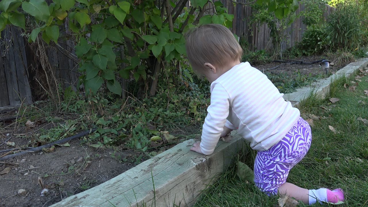 Baby kneeling beside a low wooden garden border in a backyard.