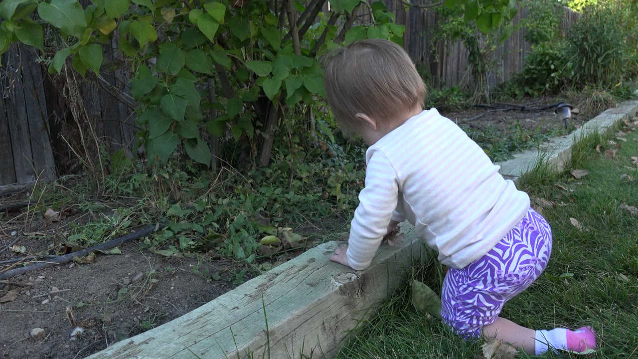 One second into the Westminster, Colorado footage, the baby shifts forward on hands and knees beside the timber edge, with shaded leaves and a narrow yard path visible behind.