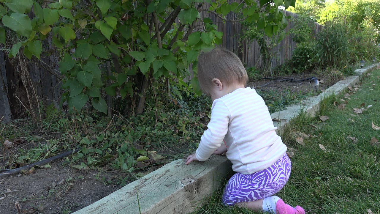 Young child kneeling beside a wooden garden border in a backyard.