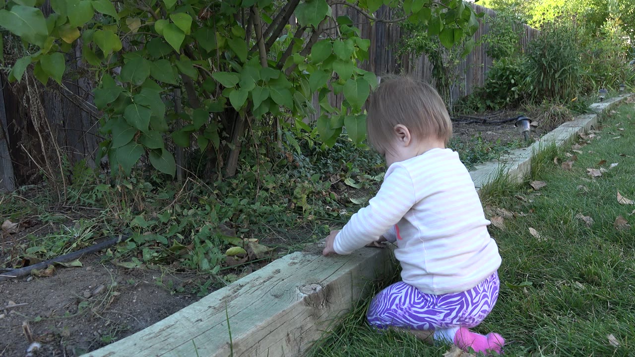 Baby sitting with back turned beside a wooden raised garden bed.