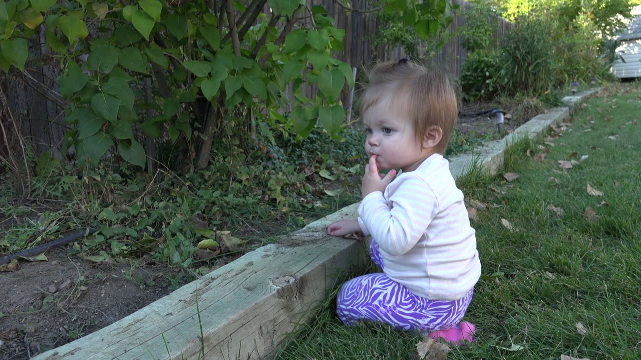 A toddler sits beside a low timber ledge in a Westminster, Colorado backyard, with one hand near their mouth and leafy shrubs behind.