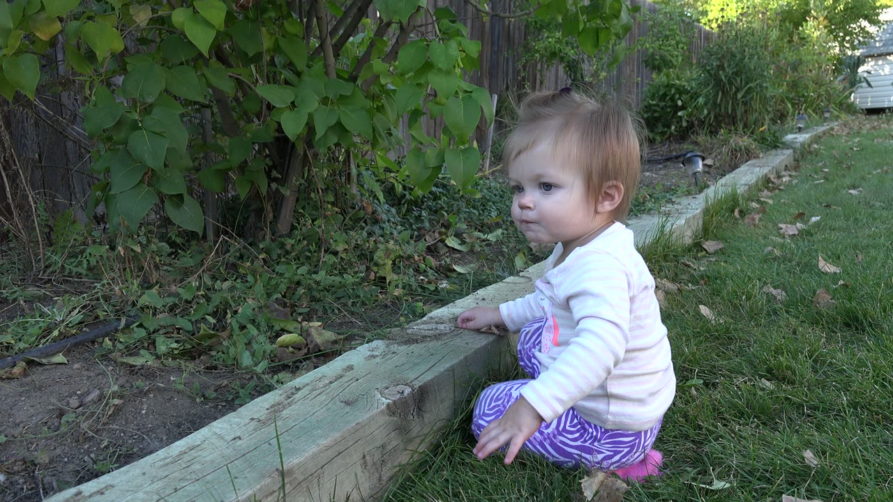 The toddler remains seated by the timber ledge in Westminster, Colorado, looking sideways with grass and dense green foliage filling the background.