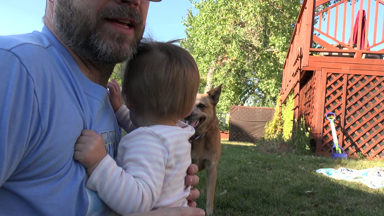 In Westminster, Colorado, a bearded father in glasses holds a baby close at the left edge of a backyard frame while a tan dog stands near the red deck lattice.