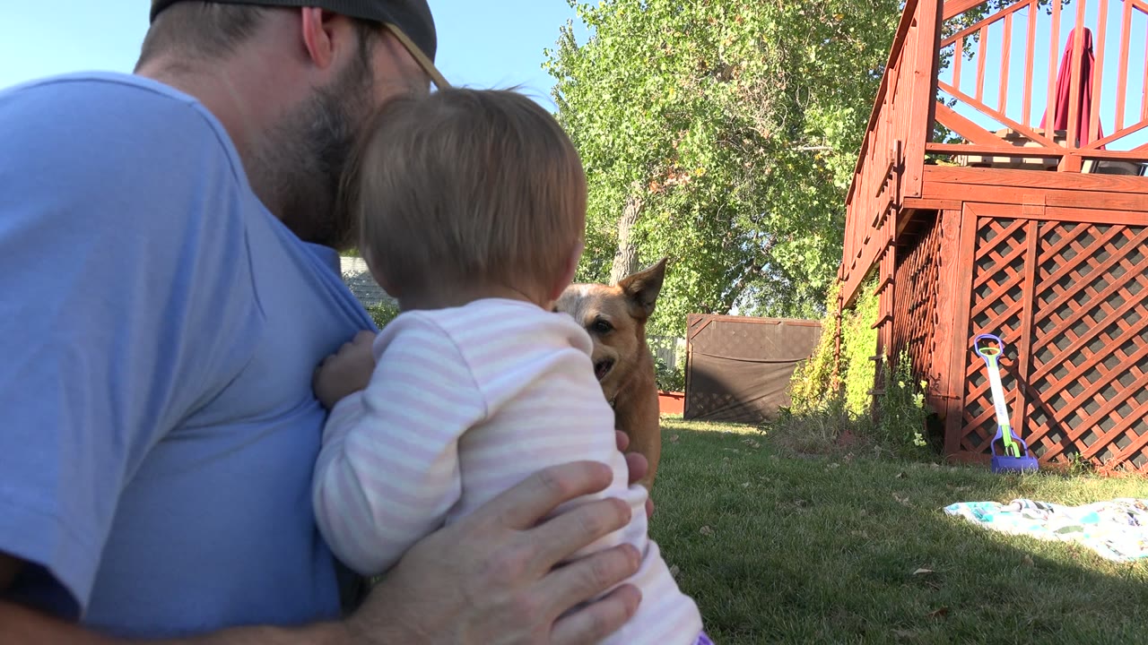 In Westminster, Colorado, the father turns with the baby toward the tan dog, with his hand supporting the child and the red backyard deck lattice bright in sun.