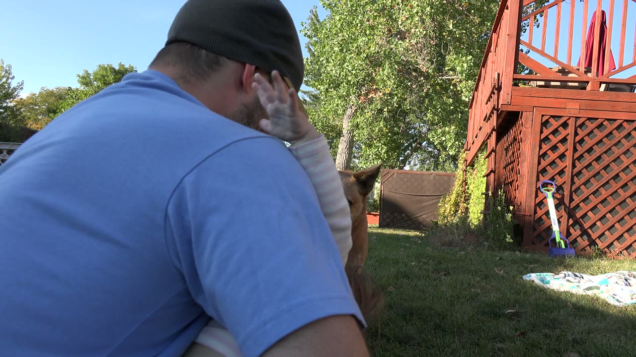 The man faces away from camera while a child's hand reaches to his head, with the brown dog partly visible beside them in the Westminster backyard.