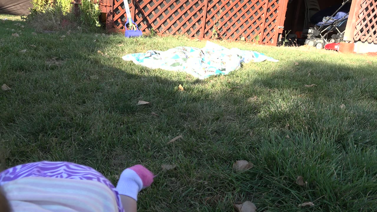 Grassy backyard with a sunlit blanket and part of a baby at the lower left.