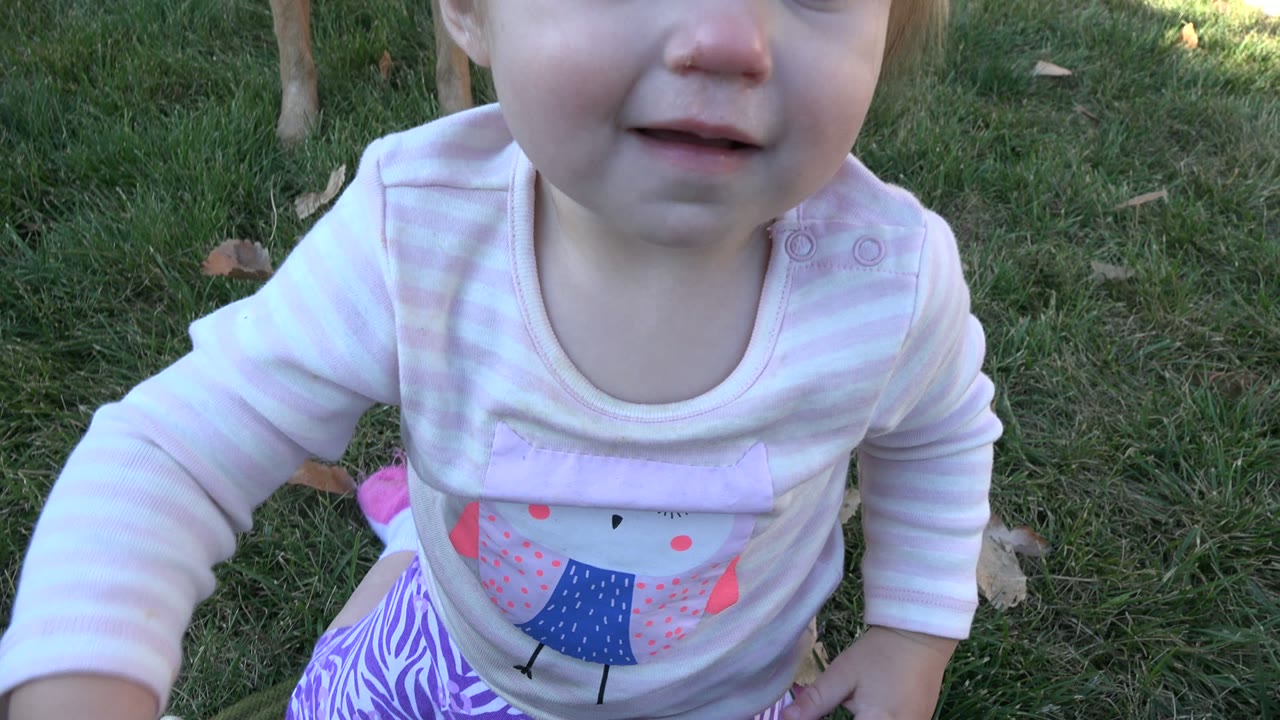 At the start of the Westminster, Colorado clip, a young girl in a pale striped shirt is very close to the camera on the lawn while part of a tan dog stands behind her.