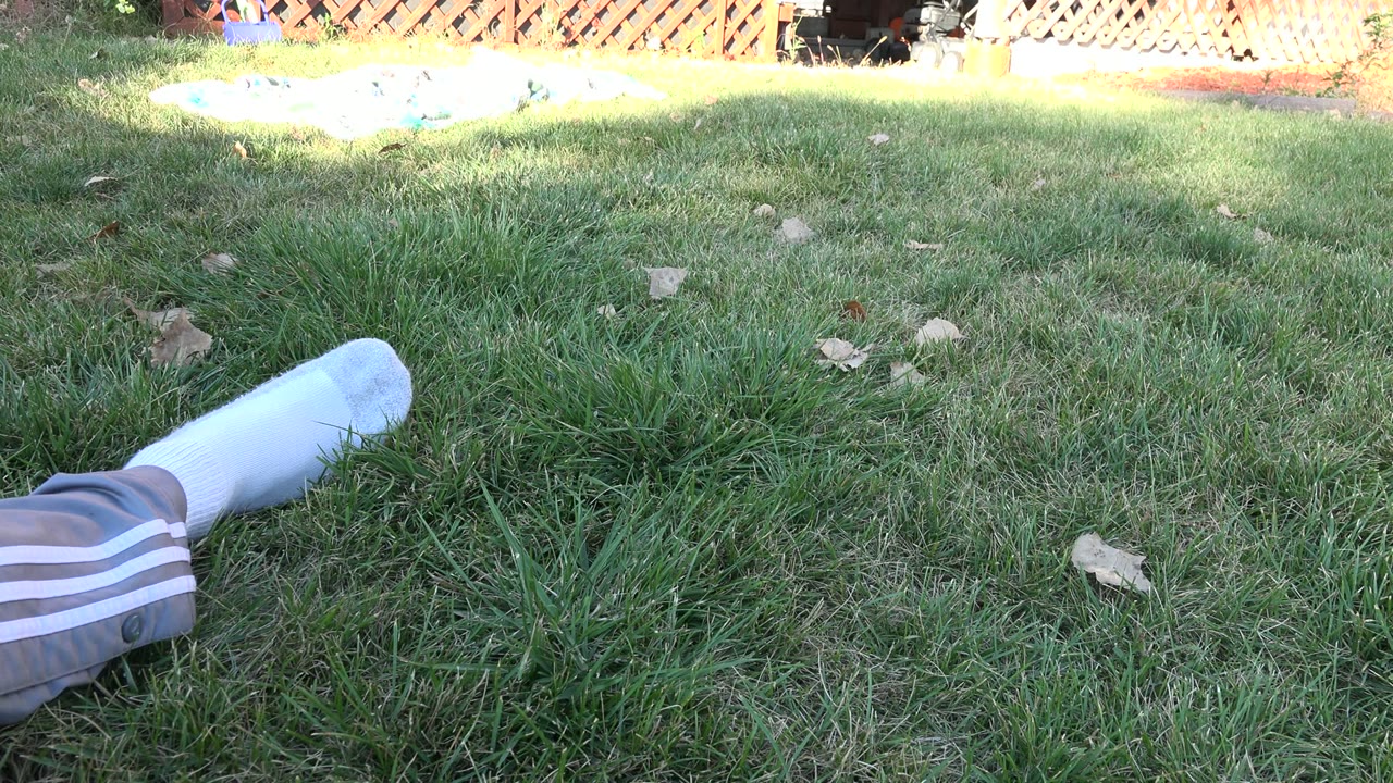 Socked leg stretched across grass in a backyard.