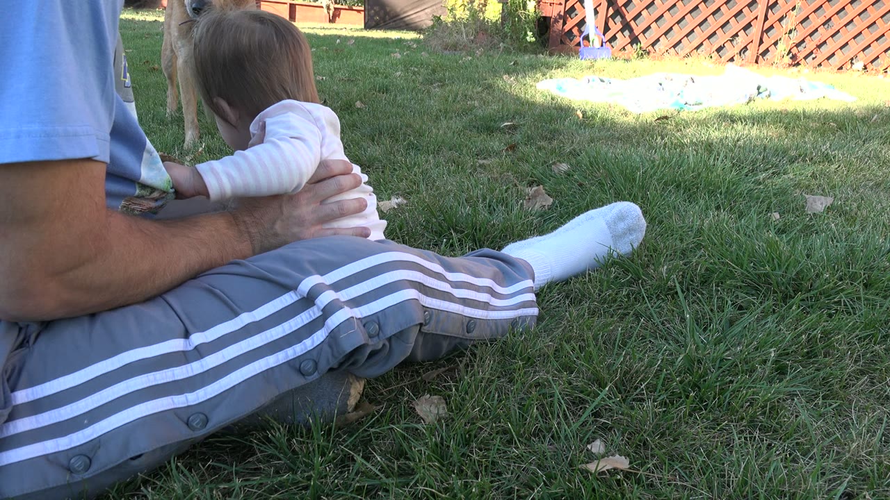 Toddler held by an adult on grass with a dog in the background.