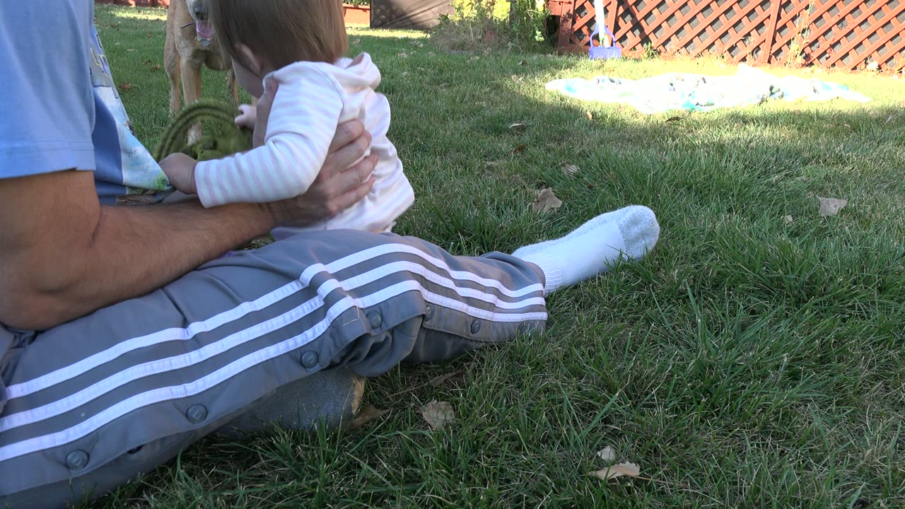 In Westminster, Colorado, an adult holds a toddler close at ground level as a dog remains in the yard behind them.