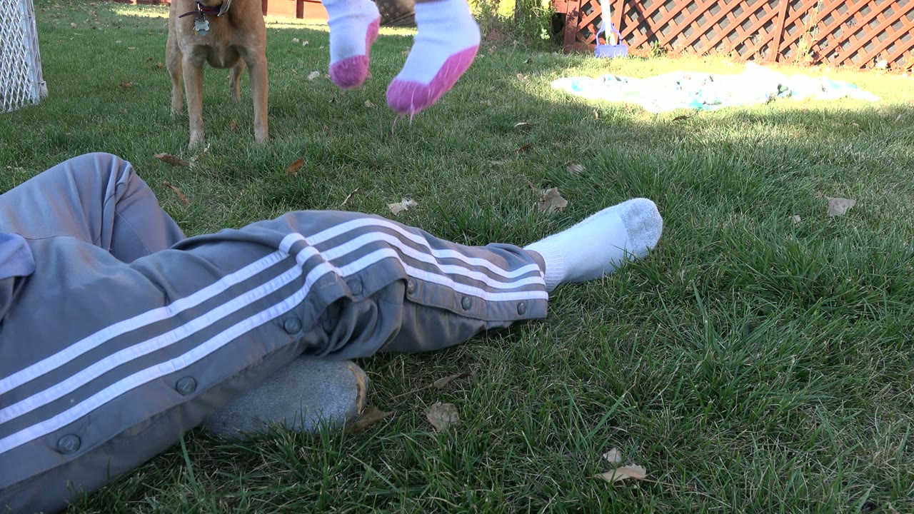 In Westminster, Colorado, the adult lies or sits low on the grass while the toddler's socked feet with pink toes appear at the top of the frame and the dog stands behind.