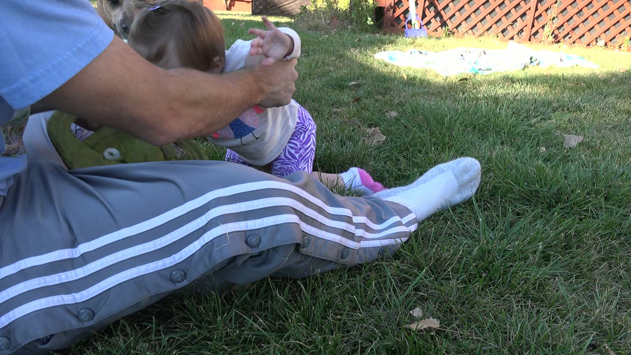 In Westminster, Colorado, a baby lies low on the grass beside an adult's gray striped pants while a small brown dog stands near the edge of the backyard frame.