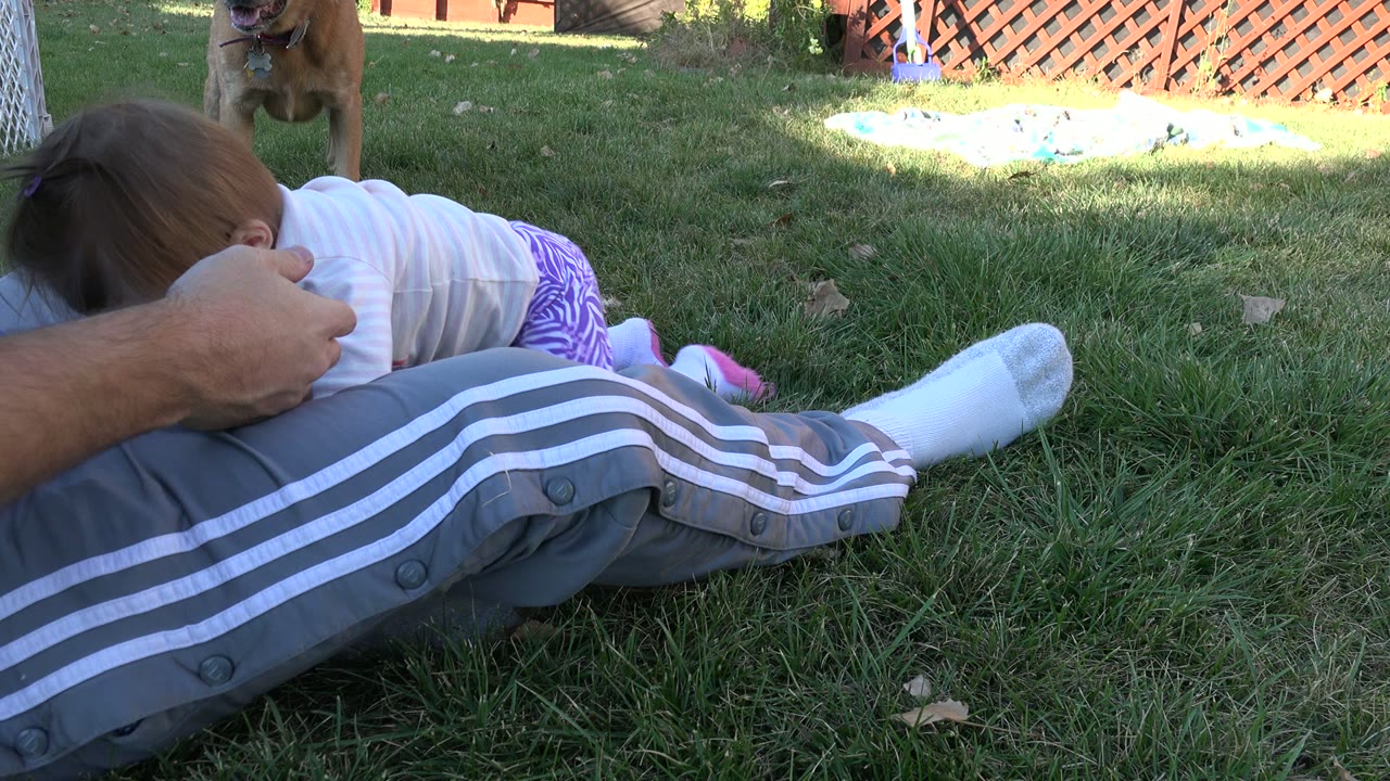 In Westminster, Colorado, the baby bends forward across the adult's gray pant leg as a small brown dog stands in the grass near the red lattice deck.