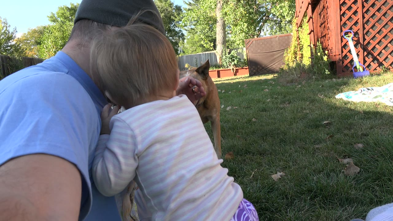 Man and young child sitting close on grass with a dog partly visible.