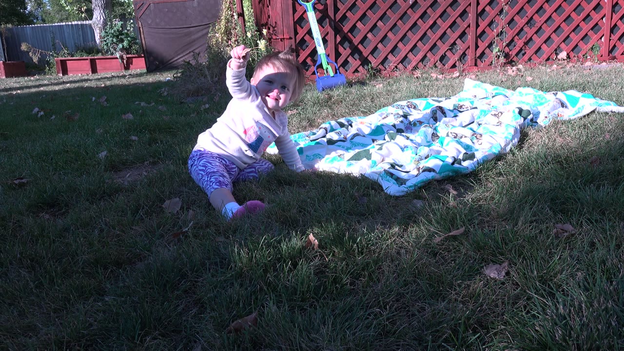 The baby remains near the blanket in the Westminster, Colorado yard, raising one arm while sunlight hits the red fence and parts of the grass.