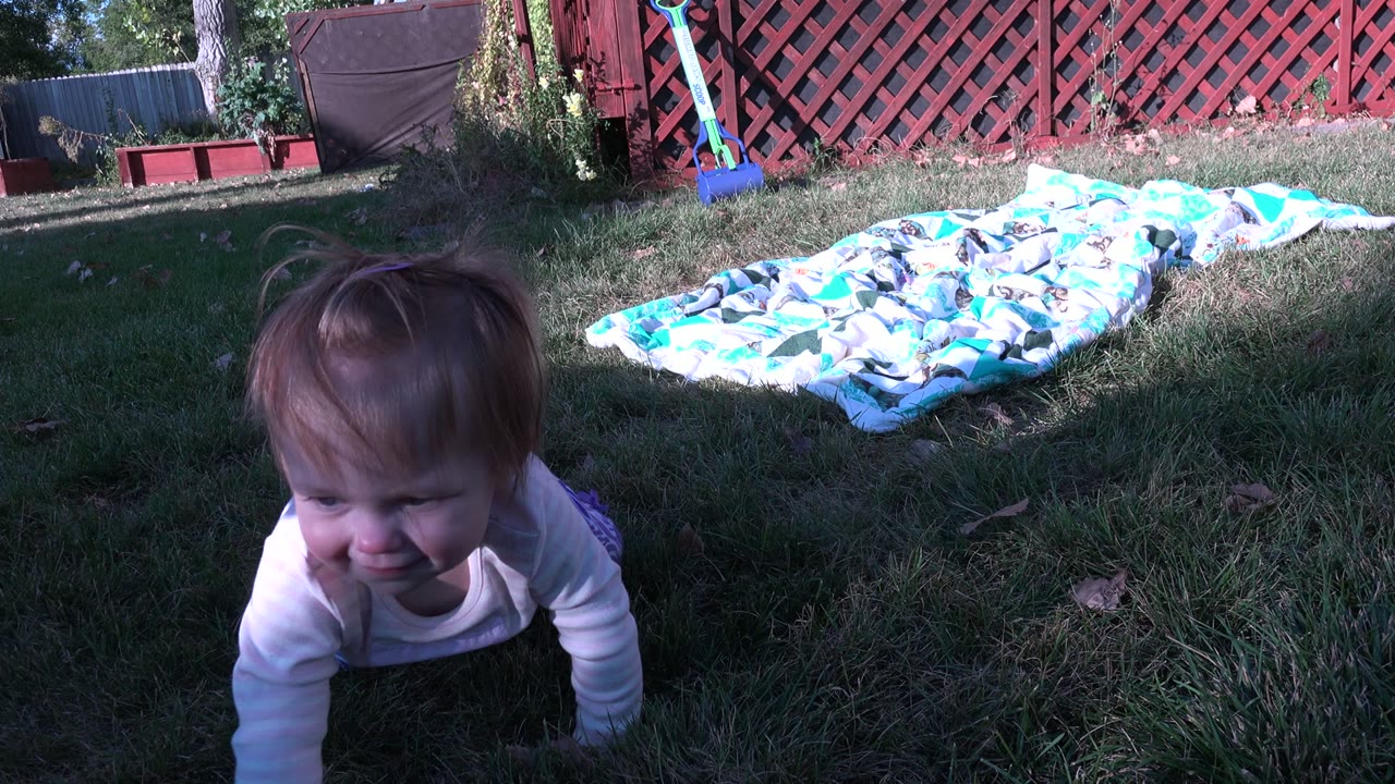 A baby crawls toward the low camera on grass in Westminster, Colorado, with a patterned blanket and red lattice fence in the background.