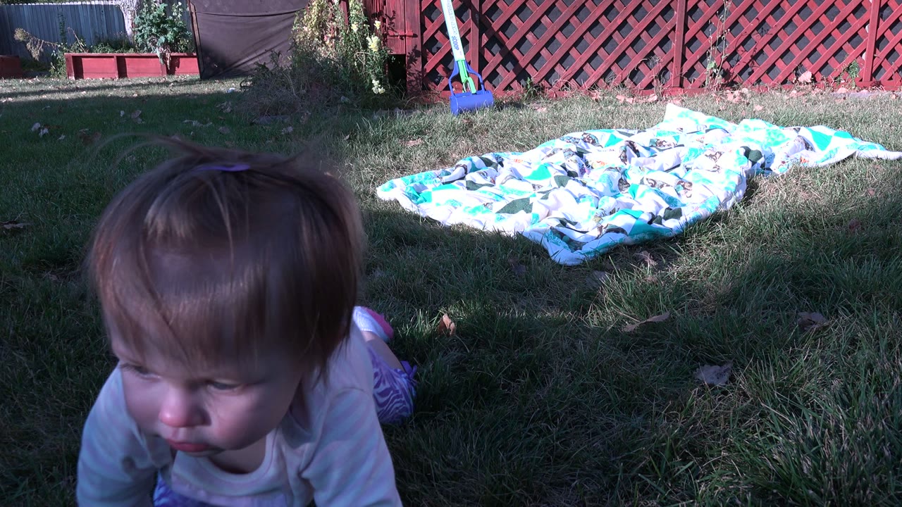 The baby has crawled nearer to the lens in Westminster, Colorado, with the face partly shaded and the backyard blanket still visible behind.