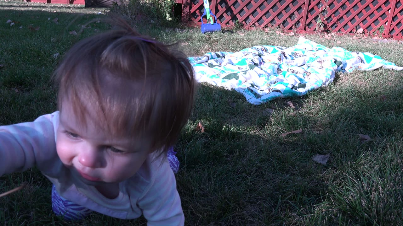 Baby reaches forward while crawling on the lawn.