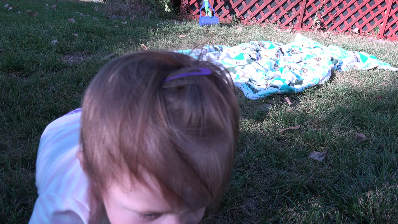 Toddler close to the camera on a grassy backyard lawn.