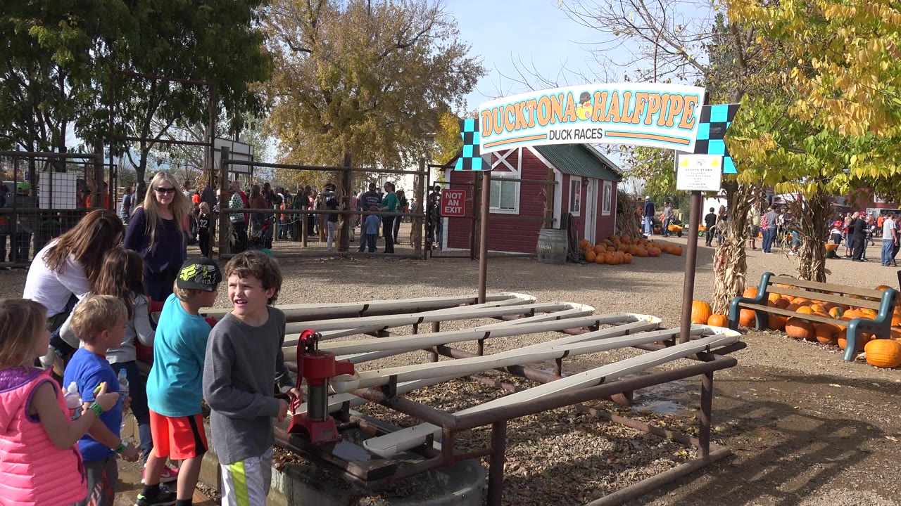 Children and women beside wooden duck race lanes at an outdoor attraction.