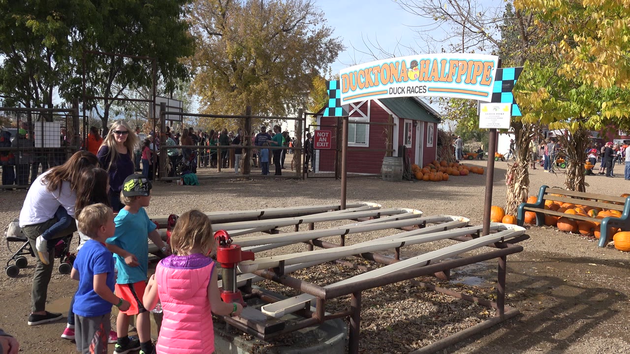 Children and adults around a red water pump near a Ducktona Halfpipe sign.