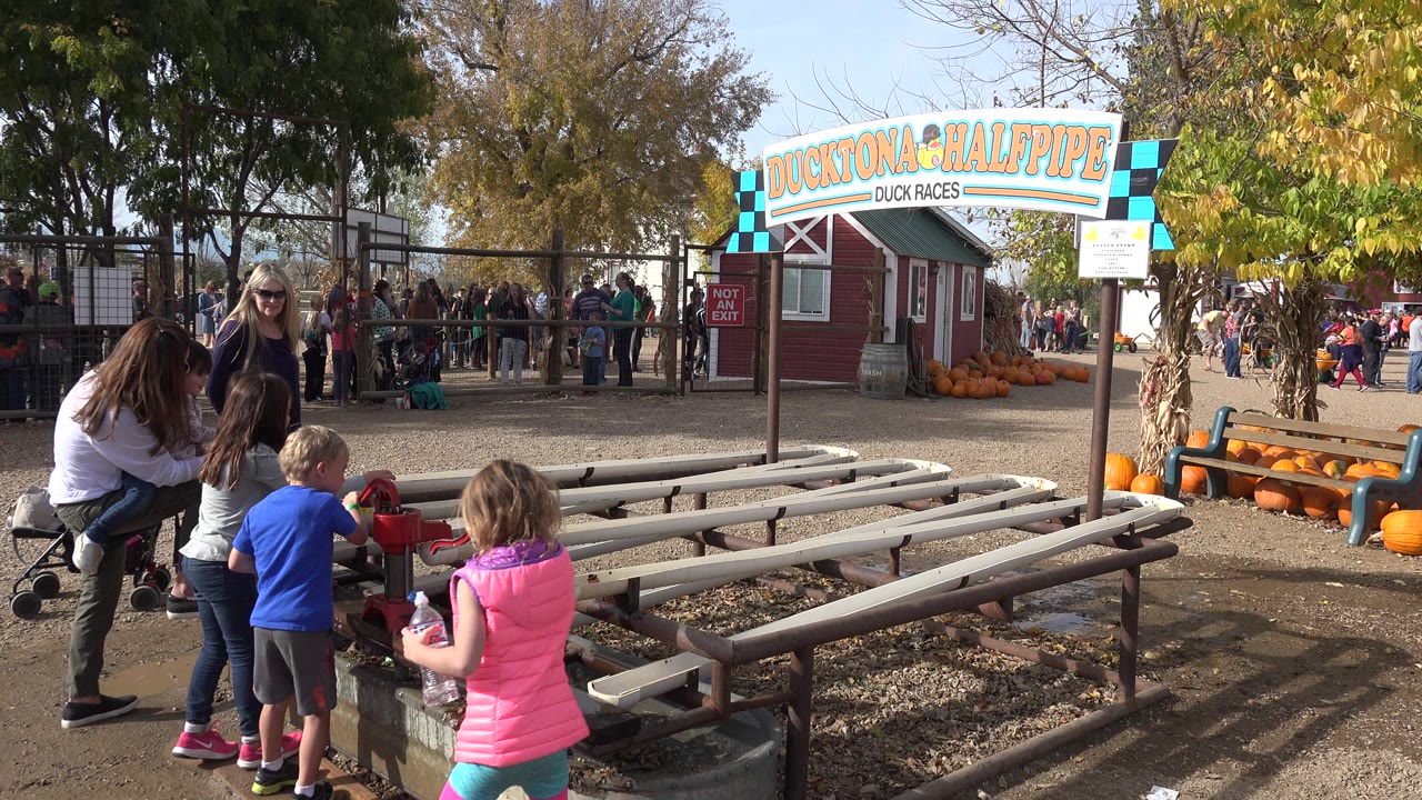 Children and adults beside a raised duck race platform