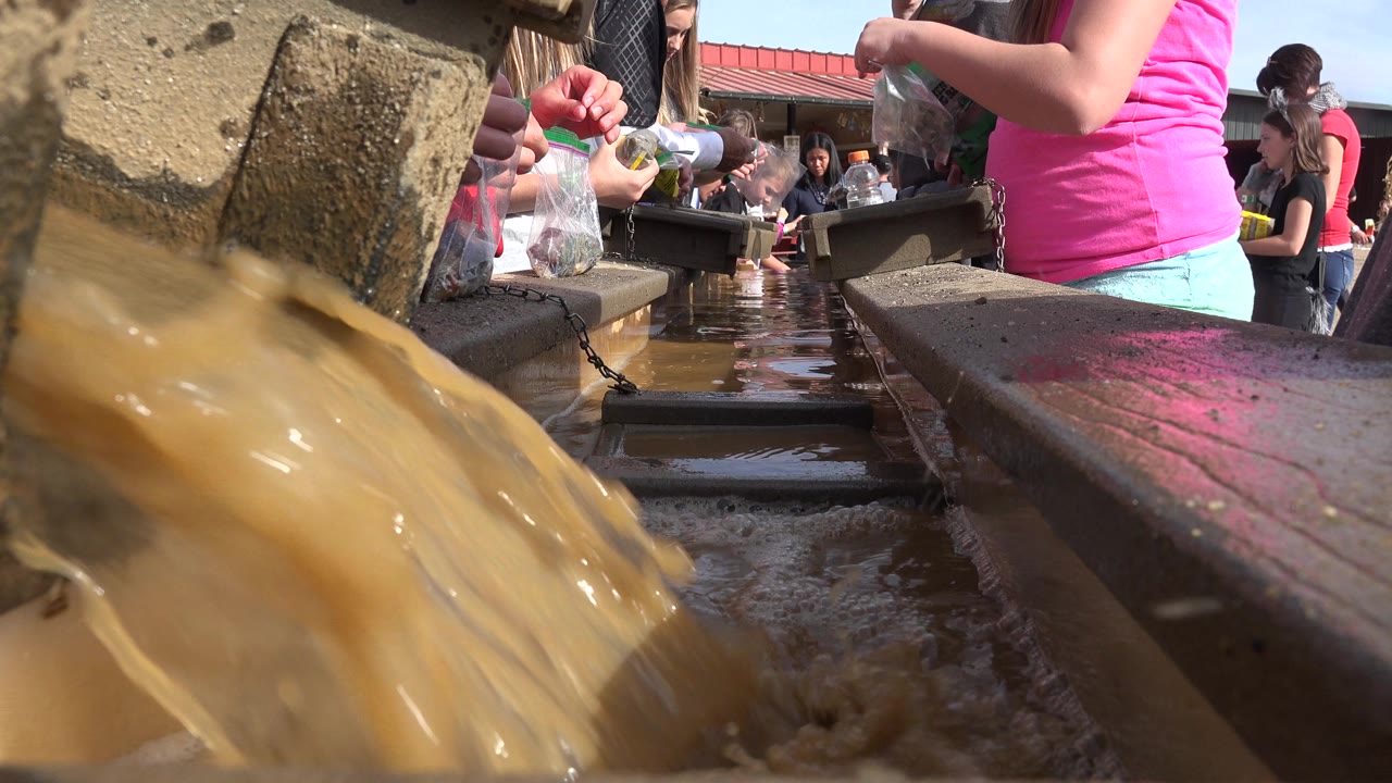 A close low view shows the muddy water cresting higher in the foreground while hands with bottles and bags work near the trough in Brighton, Colorado.
