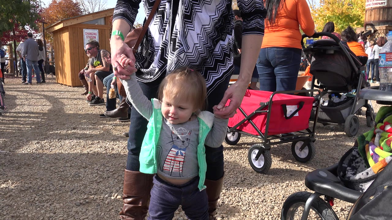 Toddler held by an adult's hands near wagons and people outdoors.