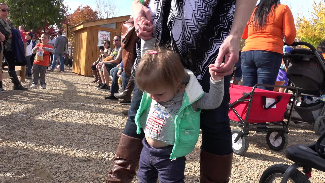 Toddler girl held by an adult at an outdoor event.