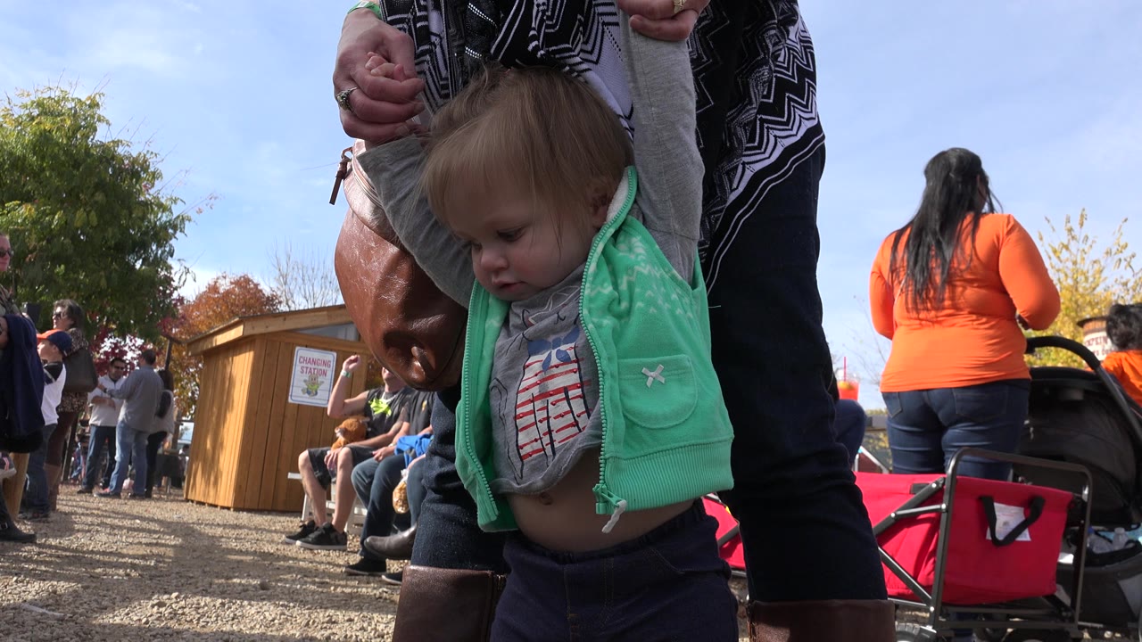 Toddler held by both hands in a crowded park setting.