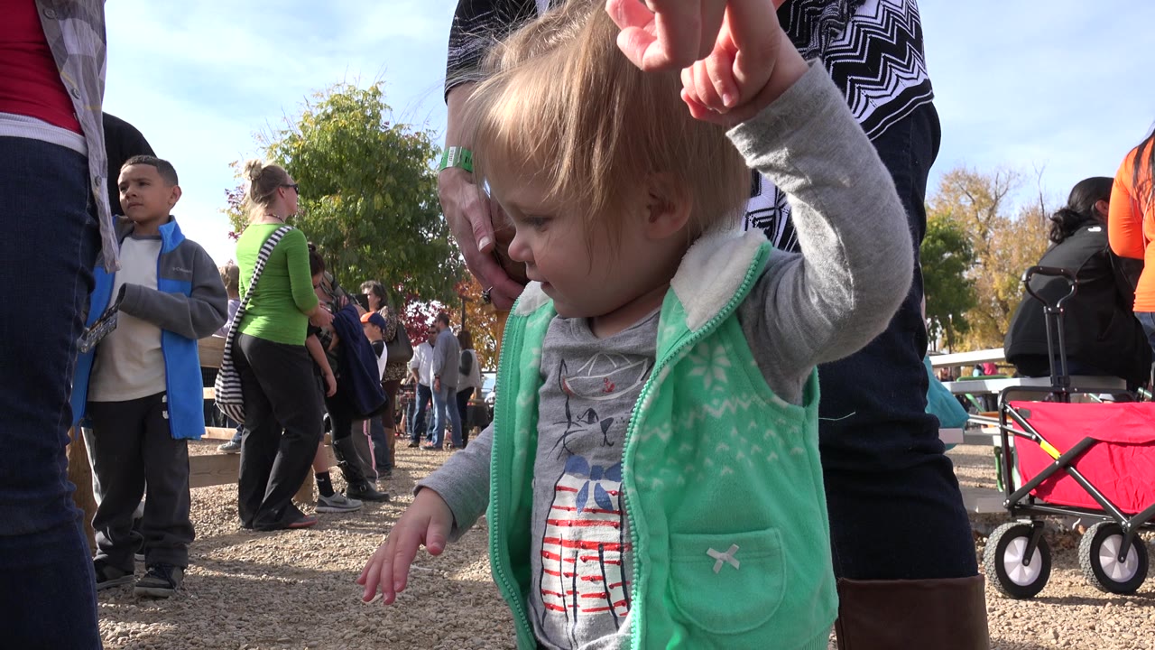 The child looks downward while an adult holds her raised hand, with a boy, benches, trees, and a red wagon visible in the Brighton, Colorado gathering background.