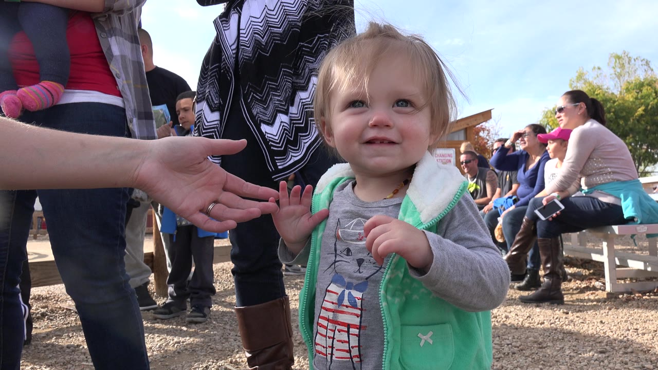 Toddler standing near adults and benches outdoors.