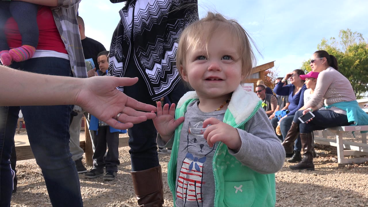 The toddler looks upward in Brighton, Colorado, beside an adult's outstretched hand, with people sitting on benches in the sunlit background.