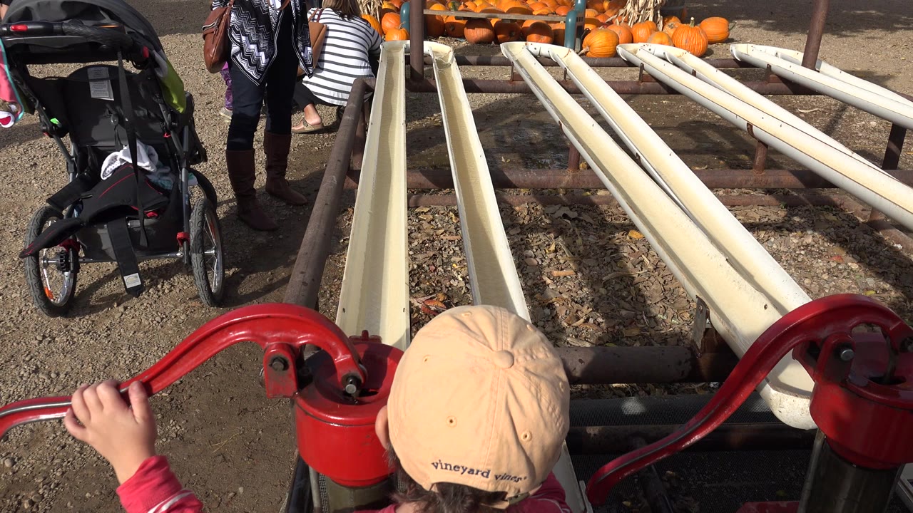 Toddler reaching toward a red hand pump beside cream troughs and pumpkins.