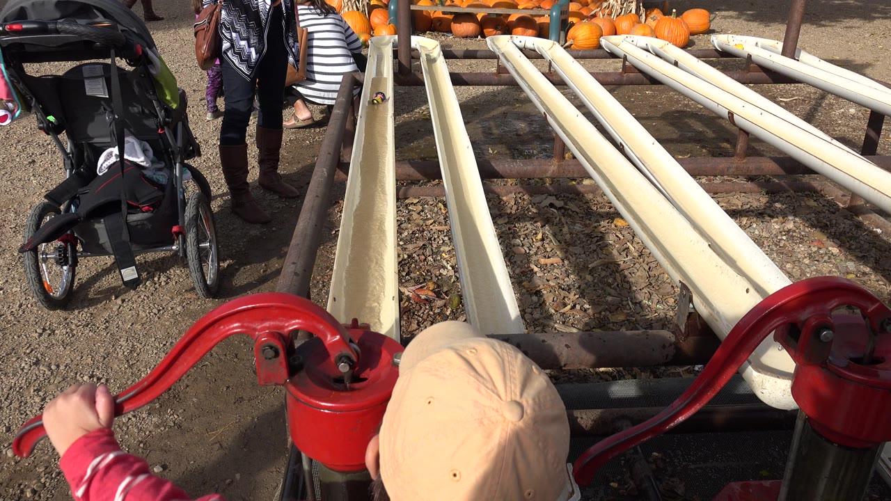 At 0:01 in Brighton, Colorado, the child's hand is raised near the red pump handle, with the tan cap at the lower edge and long pale water channels aimed toward pumpkins behind adults.