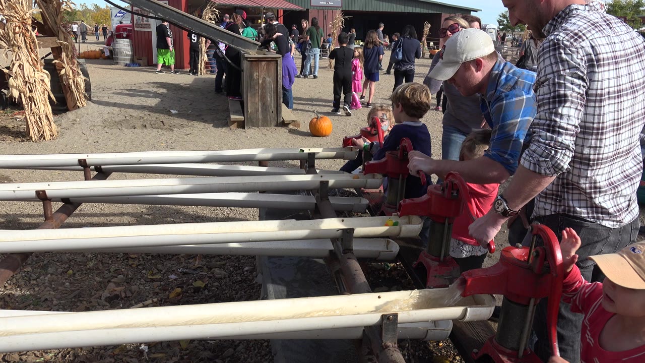 Parents and children at red hand pumps beside long troughs